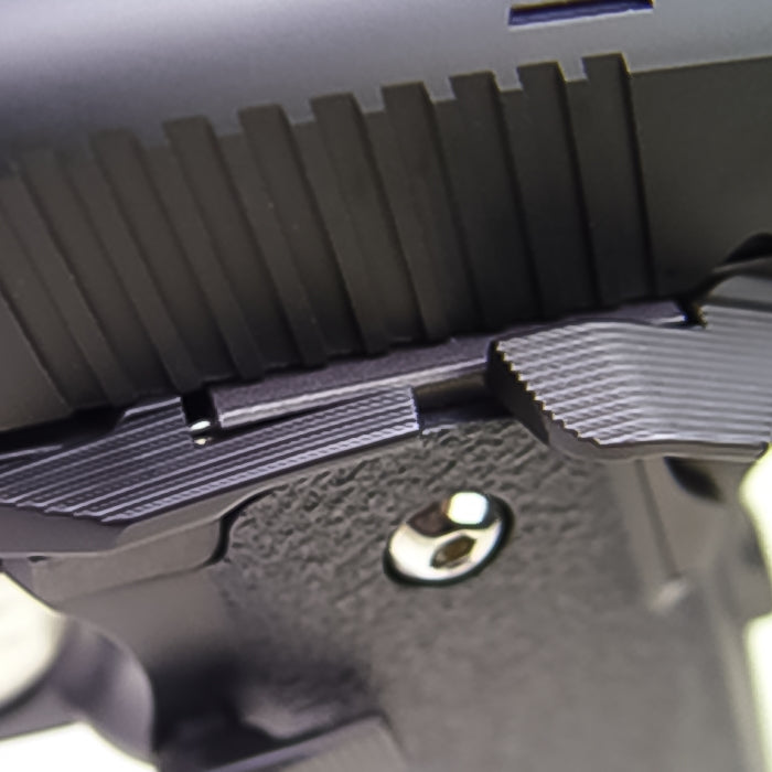 LayLax Hi-CAPA5.1 Spring Plunger Set