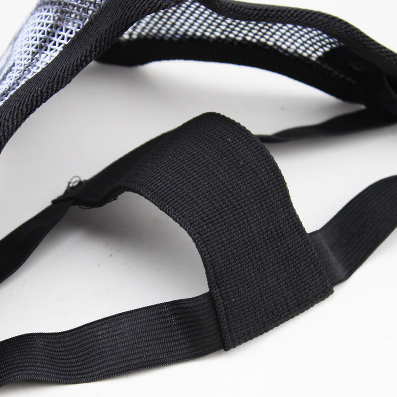 V1 Double Band Metal Mesh Mask (Black)